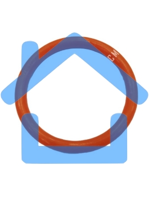 Уплотнитель поршня ЗУ Colet