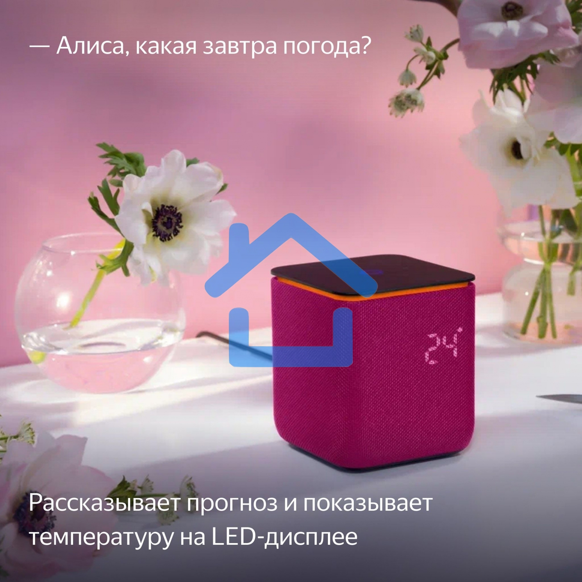 Умная колонка Яндекс Станция Миди, ZigBee, 24Вт, с голосовым ассистентом Алиса на YaGPT, малиновый