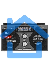 Радиоприемник портативный Сигнал БЗРП РП-306 черный USB SD