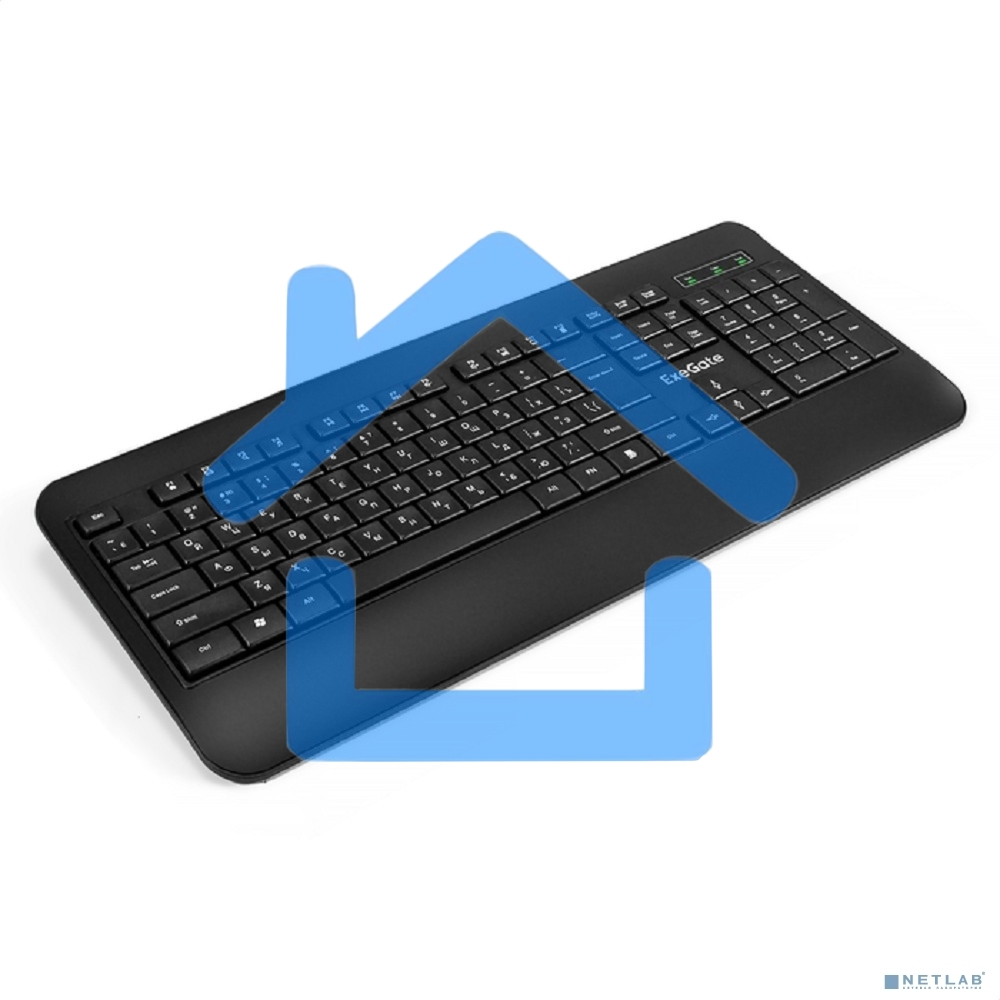 Клавиатура ExeGate Professional Standard LY-E5500M проводная, USB, черный