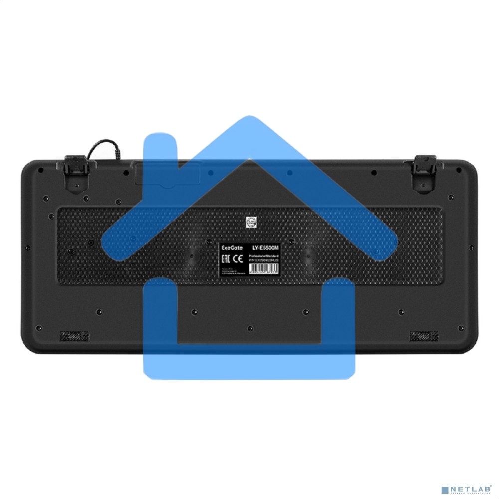 Клавиатура ExeGate Professional Standard LY-E5500M проводная, USB, черный