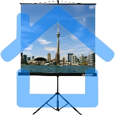 Экран на штативе Lumien Eco View 180x180см (раб.область 174х174 см) Matte White с возможностью настенного крепления 1:1