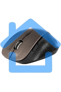 Мышь беспроводная Qumo Office Elite M55 коричневый, 2400 dpi, радиоканал, USB, кнопки - 6