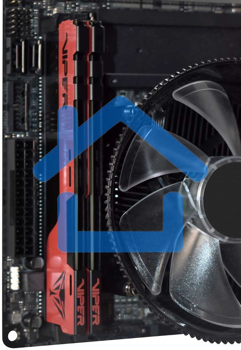 Оперативная память Patriot Viper Elite II, DDR4, 32Gb (2x16 Gb), 3600 MHz, CL20, DIMM, радиатор, красный, черный