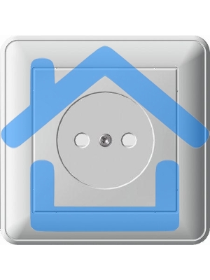 Розетка 1-м СП W59 16А IP20 защ. шторки без заземл. сл. кость SchE RS16-151-28