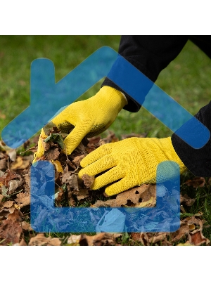 Перчатки в наборе, 5 пар, цвета в ассортименте, ПВХ точка, L, Россия Palisad