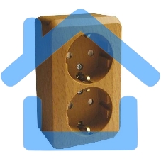 Розетка 2-м ОП Этюд Дача 16А защ. шторки с заземл. бук SchE PA16-008T