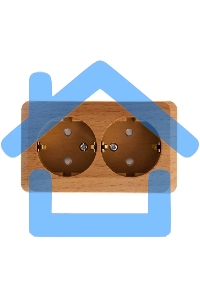 Розетка 2-м ОП Этюд Дача 16А защ. шторки с заземл. бук SchE PA16-008T