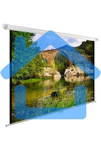 Экран Cactus 220x165см WallExpert CS-PSWE-220x165-WT 1:1 настенно-потолочный рулонный белый