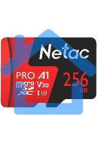 Флеш карта NeTac Карта памяти Netac MicroSD P500 Extreme Pro 256Gb, Retail version card only