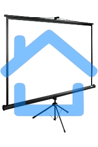 Экран Cactus 200x200см TriExpert CS-PSTE-200х200-BK 1:1 напольный рулонный