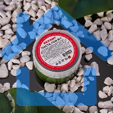 Паста ГОИ полировальная Rexant № 1, баночка 100 г