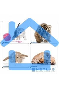 Коврик Defender шелковый ассортимент, 230х190х1.6