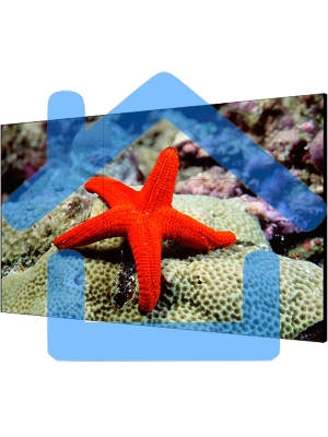 Экран LCD Hikvision DS-D2055LR-G 55