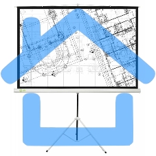 Экран Cactus 127x127см Triscreen CS-PST-127X127 1:1 напольный рулонный белый