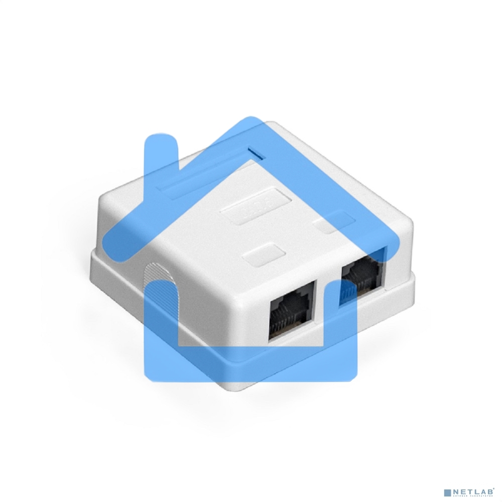 Розетка внешняя двойная ExeGate SM2-RJ45-C5 RJ-45 кат.5/5E UTP Krone/110