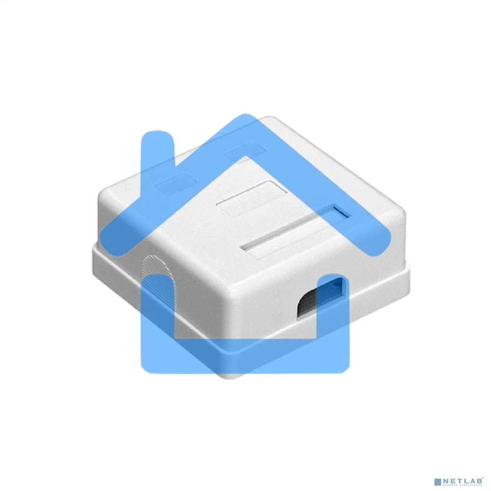 Розетка внешняя двойная ExeGate SM2-RJ45-C5 RJ-45 кат.5/5E UTP Krone/110