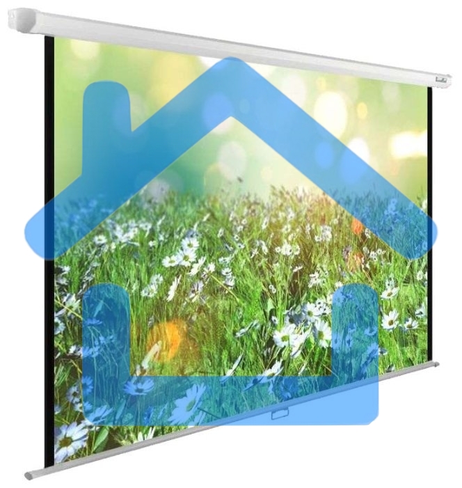 Экран Cactus 200x200см WallExpert CS-PSWE-200x200-WT 1:1 настенно-потолочный рулонный