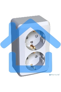 Розетка 2-м ОП Этюд 16А защ. шторки с заземл. белый SchE PA16-008B