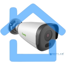 Камера видеонаблюдения IP Tiandy TC-C32GN Spec:I5/E/Y/C/2.8mm/V4.2 2.8-2.8мм (TC-C32GN SPEC:I5/E/Y/C/2.8MM)