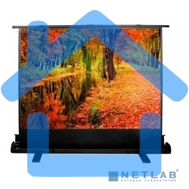 Экран Cactus 150x200см FloorExpert CS-PSFLE-200X150 4:3 напольный рулонный
