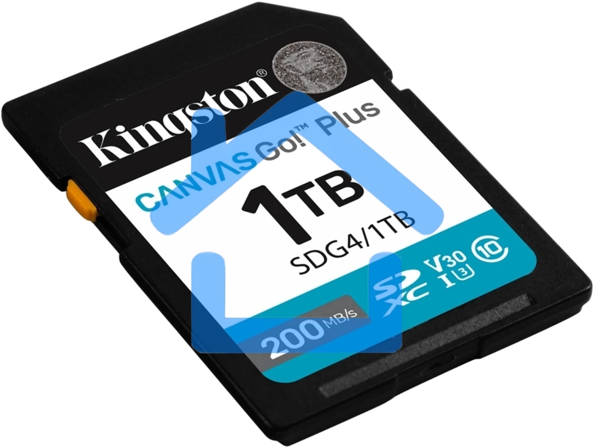 Флеш карта SDXC 1Tb Kingston SDG4/1Tb Canvas Go! Plus w/o adapter