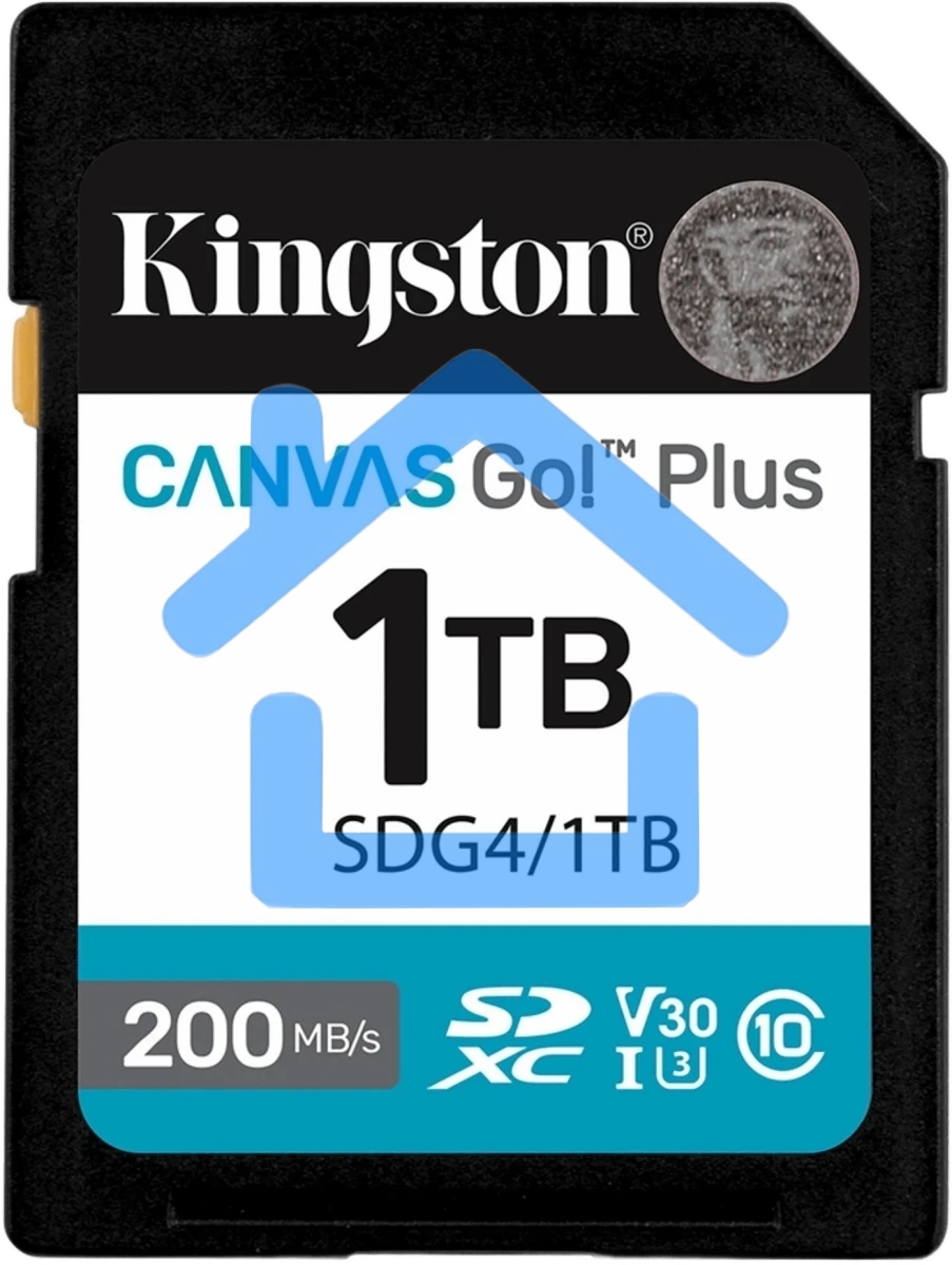 Флеш карта SDXC 1Tb Kingston SDG4/1Tb Canvas Go! Plus w/o adapter