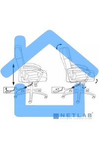 Кресло руководителя Бюрократ T-9908AXSN-AB черный, кожа, крестовина металл