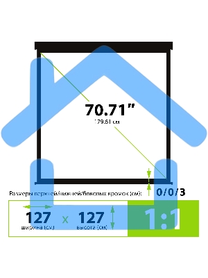 Экран Cactus 127x127см Wallscreen CS-PSW-127X127-BK 1:1 настенно-потолочный рулонный черный