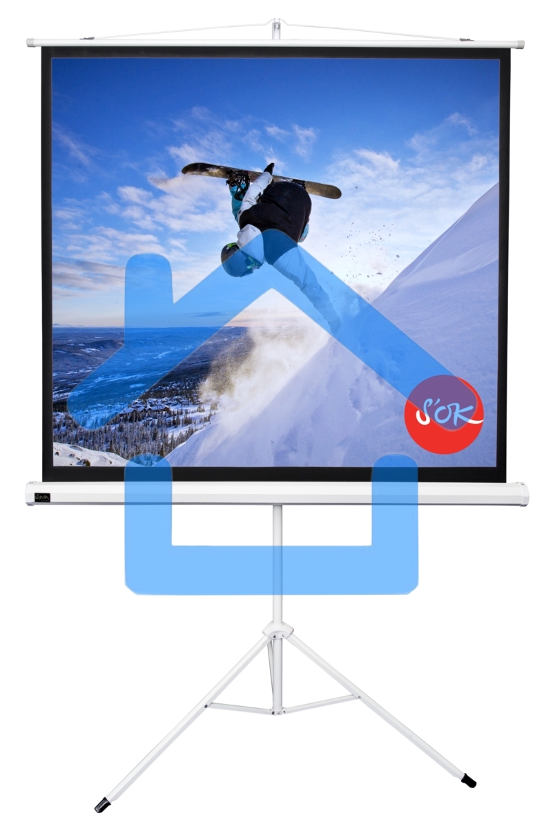 Экран 127x127см TriScreen 1:1 напольный рулонный белый71'