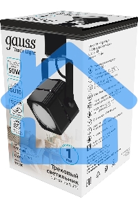 Светильник Gauss TR009 черный