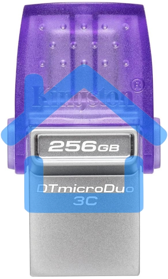Флешка USB R/W Kingston USB3.2 256Gb DTDUO3CG3/256Gb