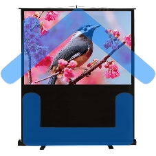 Экран Cactus 90x120см FloorCompactExpert CS-PSFLCE-120X90 4:3 напольный рулонный