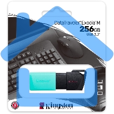 Флешка USB Kingston 256 Gb DataTraveler DTXM DTXM/256 Gb USB 3.2 черный/зеленый