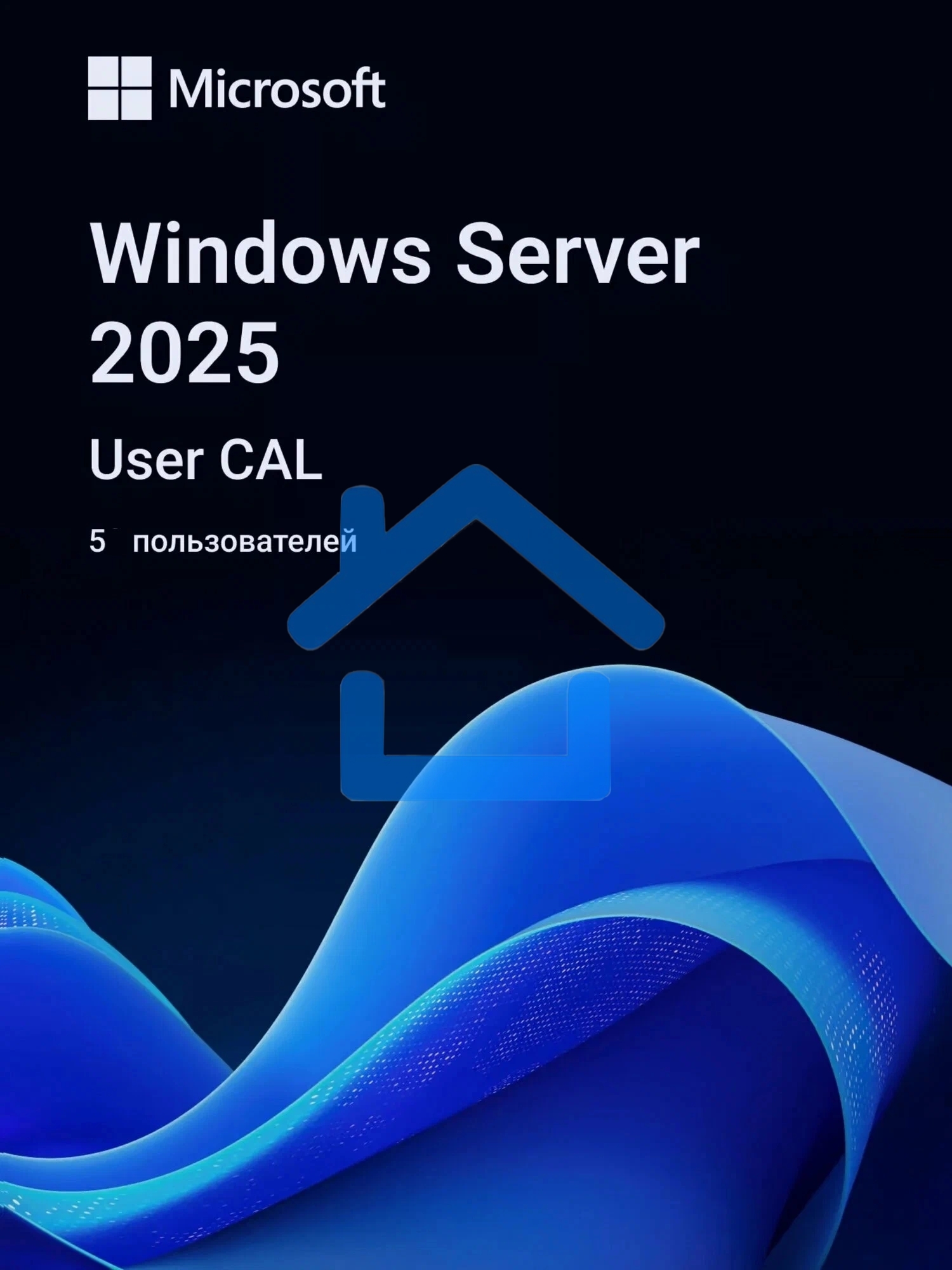 Операционная система Microsoft Windows Server CAL 2025 English 1pk DSP OEI 5 Clt User CAL (EP2-25279)
