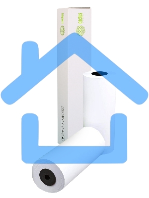 Бумага Cactus CS-LFP80-297457 12