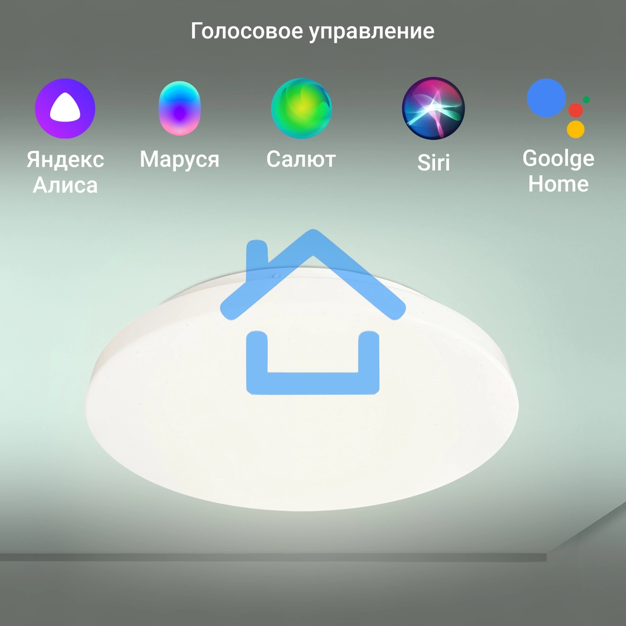 Умный светильник Digma TopLight TL25 потолоч. белый (TL25)