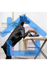 Утюг Galaxy Line GL 6128, фиолетовый с черным, паровой, 2200 Вт, постоянный пар 30 г/мин, паровой удар 140 г/мин, функции: самоочистка, антикапля, антинакипь, функция увлажнения, вертикальное отпаривание, защита от перегрева, индикатор нагрева, керамическ