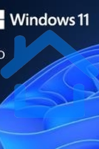 ПО OEM WIN 11 PRO 64B ENG 1PK FQC-10528 MS