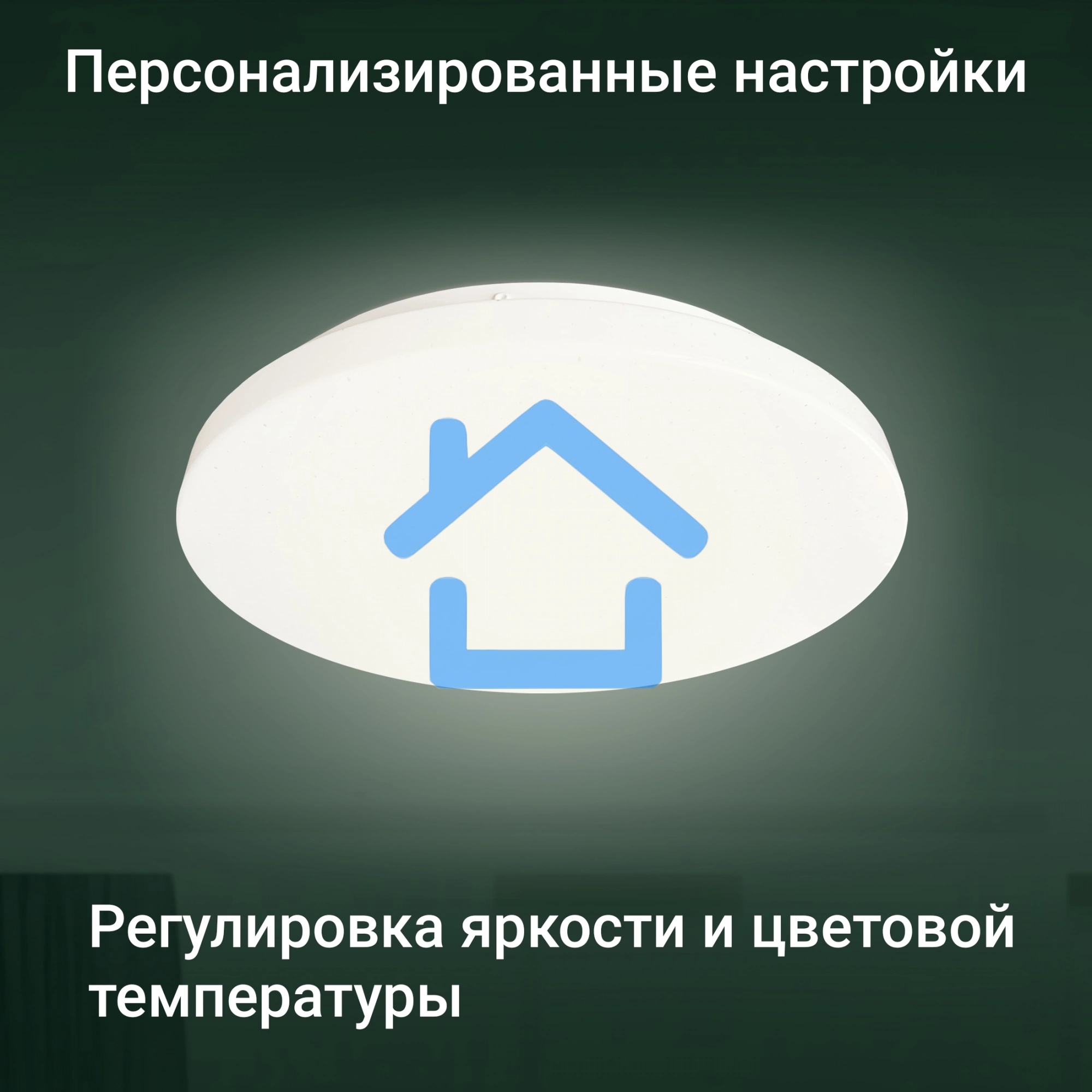 Умный светильник Digma TopLight TL25 потолоч. белый (TL25)