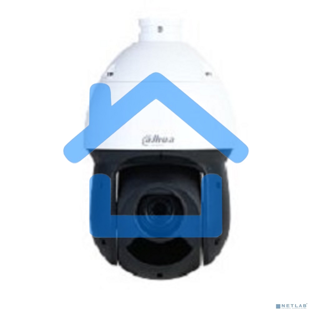 Камера видеонаблюдения IP Dahua DH-SD49225DB-HNY 4.8-120мм цв.