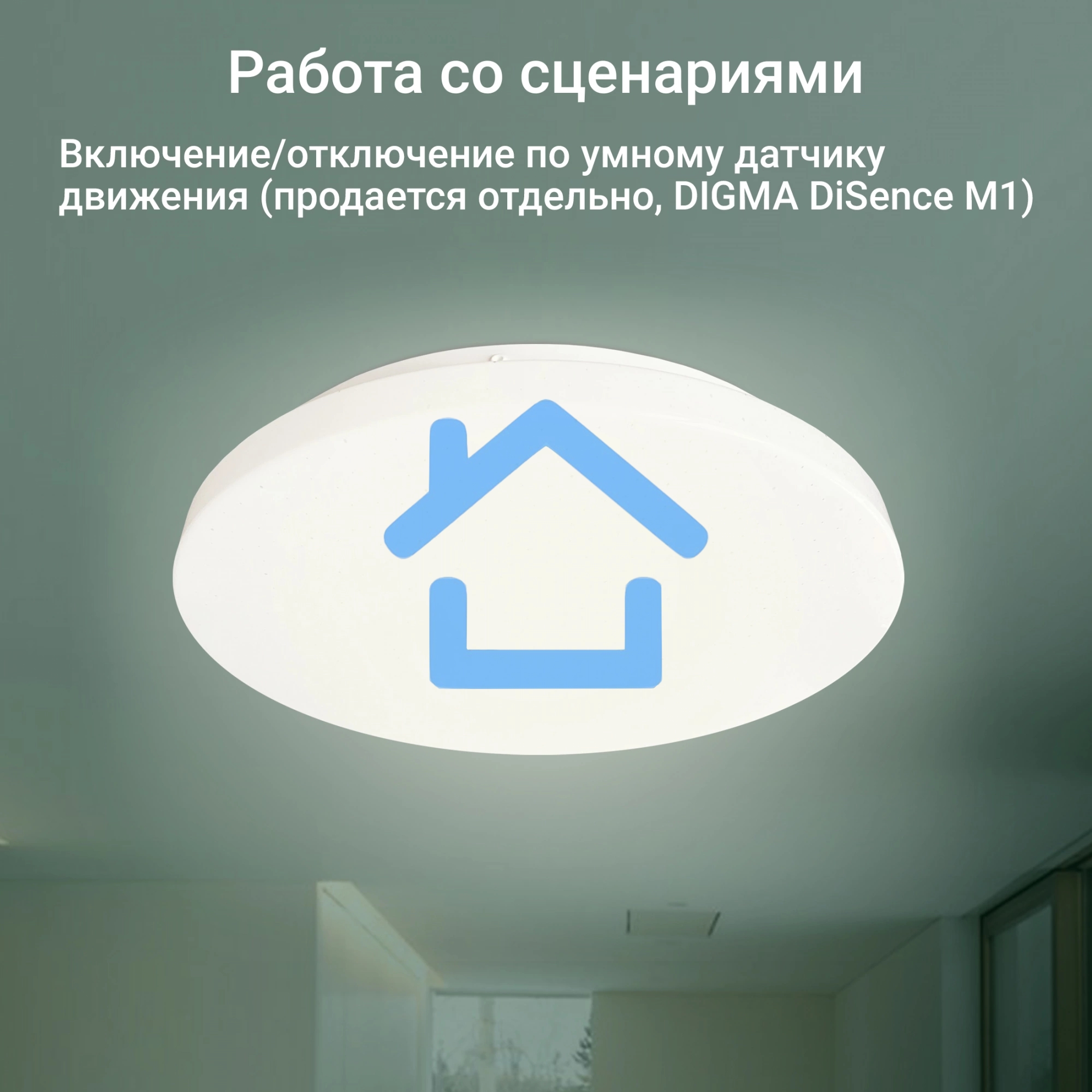 Умный светильник Digma TopLight TL25 потолоч. белый (TL25)