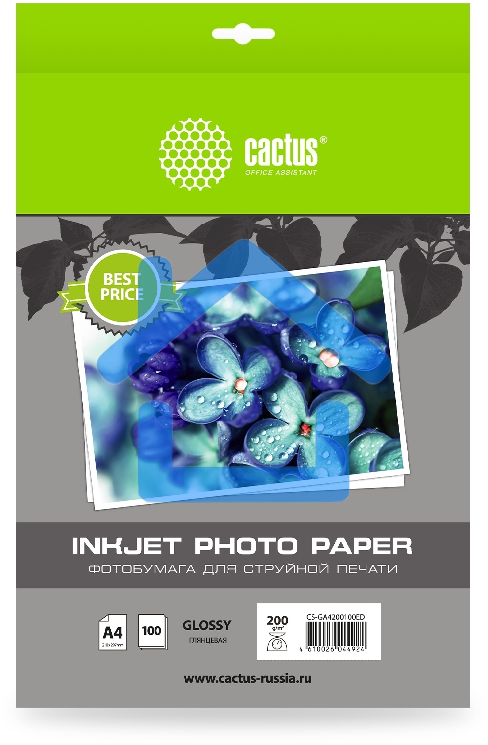 Фотобумага Cactus CS-GA4200100ED A4/200г/м2/100л./белый глянцевое для струйной печати