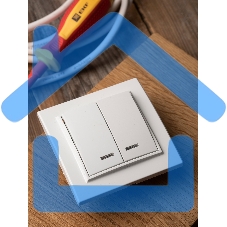 Выключатель 2-клавишный СП с индикатором,10А, белый EKF Basic Минск