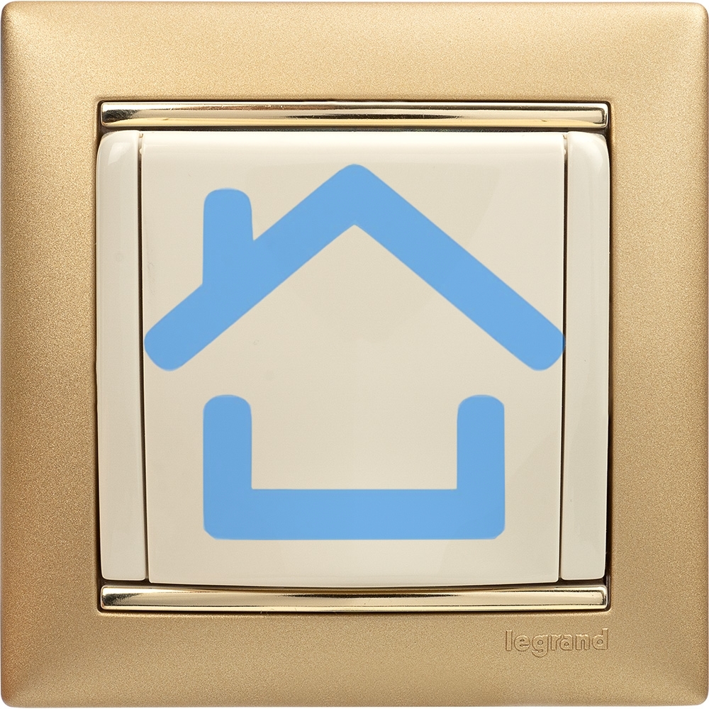 Механизм розетки 1-м СП Valena с защ. крышкой защ. шторки с заземл. сл. кость Leg 774322