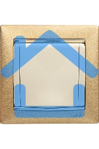 Механизм розетки 1-м СП Valena с защ. крышкой защ. шторки с заземл. сл. кость Leg 774322