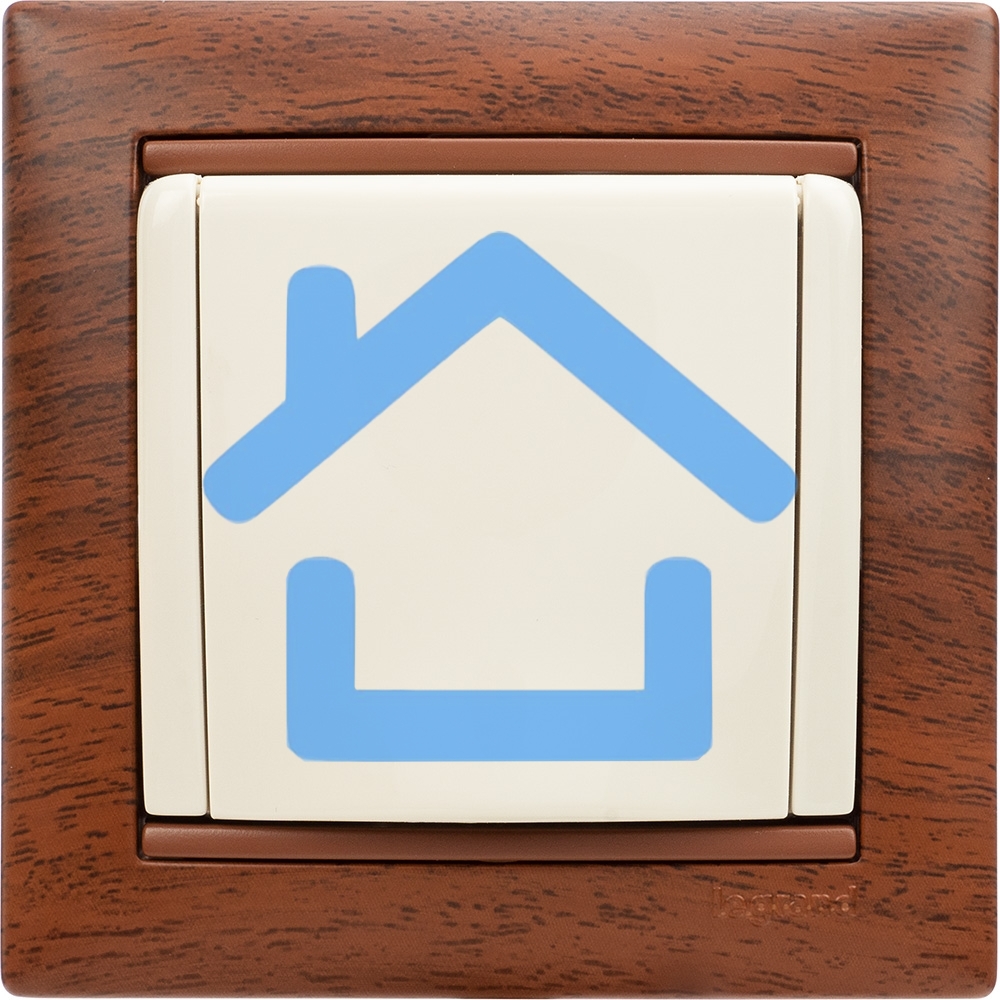 Механизм розетки 1-м СП Valena с защ. крышкой защ. шторки с заземл. сл. кость Leg 774322