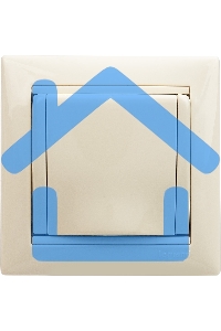 Механизм розетки 1-м СП Valena с защ. крышкой защ. шторки с заземл. сл. кость Leg 774322