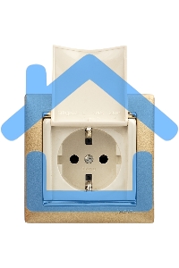 Механизм розетки 1-м СП Valena с защ. крышкой защ. шторки с заземл. сл. кость Leg 774322