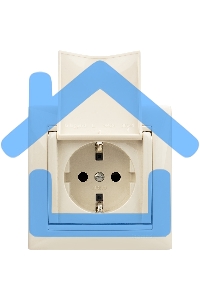 Механизм розетки 1-м СП Valena с защ. крышкой защ. шторки с заземл. сл. кость Leg 774322